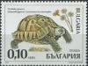 Colnect-1818-298-Spur-thighed-tortoise-Testudo-graeca.jpg