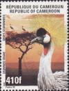 Colnect-1979-469-Black-Crowned-Crane-Balearica-pavonina.jpg