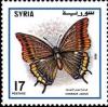 Colnect-2219-329-Two-tailed-Pasha-Charaxes-jasius.jpg