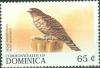 Colnect-3228-411-Broad-winged-Hawk-Buteo-platypterus.jpg