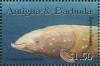 Colnect-3521-153-Cuvier-s-Beaked-Whale-Zyphius-cavirostris.jpg