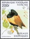 Colnect-3548-422-Black-headed-Munia-Lonchura-malacca.jpg