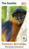 Colnect-4029-030-Temminck-rsquo-s-Red-Colobus-Piliocolobus-temminckii.jpg