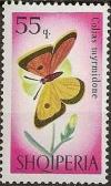 Colnect-452-955-Danube-Clouded-Yellow-Colias-myrmidone.jpg