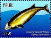 Colnect-4950-838-Cuvier-s-Beaked-Whale-Ziphius-cavirostris.jpg