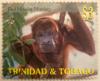 Colnect-5035-681-Red-Howler-Monkey.jpg