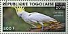 Colnect-5646-483-Sulphur-crested-Cockatoo-Cacatua-galerita.jpg