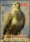 Colnect-5795-416-Long-Legged-Buzzard-Buteo-rufinus.jpg