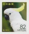 Colnect-5893-116-Sulphur-crested-Cockatoo-Cacatua-Galerita.jpg