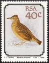 Colnect-675-282-Rufous-naped-Lark-Mirafra-africana.jpg