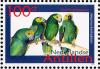 Colnect-966-979-Yellow-shouldered-Amazon%C2%A0Amazona-barbadensis.jpg