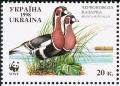 Colnect-1405-435-Red-breasted-Goose-Branta-ruficollis.jpg