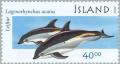 Colnect-165-395-Atlantic-Whte-sided-Dolphin-Lagenorhynchus-acutus.jpg