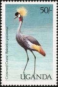 Colnect-1712-382-Black-Crowned-Crane-Balearica-pavonina.jpg