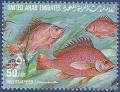 Colnect-2133-987-Humpback-Red-Snapper-Lutjanus-gibbus.jpg