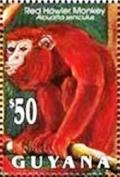 Colnect-2151-121-Venezuelan-Red-Howler-Alouatta-seniculus.jpg