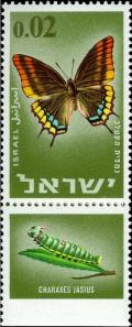 Colnect-2593-315-Two-tailed-Pasha-Charaxes-jasius.jpg