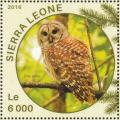 Colnect-3566-065-Barred-Owl---Strix-varia.jpg