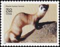 Colnect-5106-698-Black-footed-Ferret-Mustela-nigripes.jpg