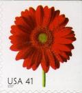 Colnect-887-791-Red-Gerbera-Daisy.jpg