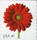 Colnect-887-805-Red-Gerbera-Daisy.jpg