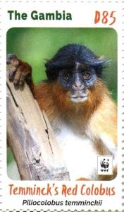 Colnect-4029-031-Temminck-rsquo-s-Red-Colobus-Piliocolobus-temminckii.jpg