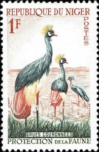 Colnect-5253-037-Black-Crowned-Crane-Balearica-pavonina.jpg