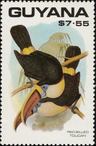 Colnect-1664-559-White-throated-Toucan-Ramphastos-tucanus.jpg