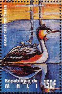 Colnect-2376-029-Great-Crested-Grebe-Podiceps-cristatus.jpg