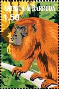 Colnect-3397-662-Venezuelan-Red-Howler-Alouatta-seniculus.jpg