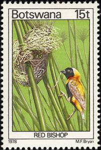 Colnect-597-725-Southern-Red-Bishop-Euplectes-orix.jpg