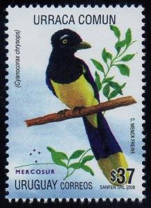 Colnect-1300-690-Plush-crested-Jay-Cyanocorax-chrysops.jpg