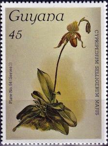 Colnect-3992-721-Cypripedium-selligerum-majus.jpg