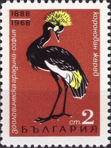 Colnect-3665-199-Black-Crowned-Crane-Balearica-pavonina.jpg