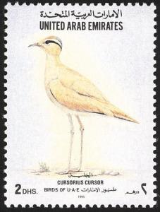 Colnect-1646-515-Cream-colored-Courser-Cursorius-cursor.jpg