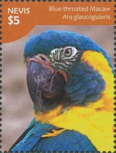 Colnect-4412-935-Blue-throated-Macaw-Ara-glaucogularis.jpg