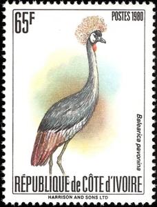 Colnect-2757-473-Black-Crowned-Crane-Balearica-pavonina.jpg