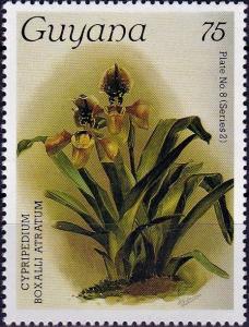 Colnect-4046-724-Cypripedium-boxalli-atratum.jpg