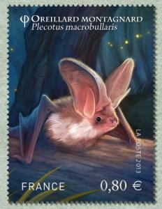 Colnect-1549-633-Alpine-Long-eared-Bat-Plecotus-macrobullaris-.jpg