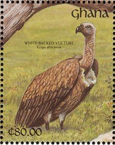 Colnect-1459-785-White-backed-Vulture-Gyps-africanus.jpg