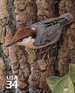 Colnect-2783-144-Brown-headed-Nuthatch-Sitta-pusilla.jpg