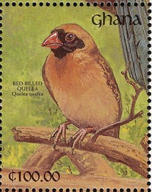 Colnect-1459-800-Red-billed-Quelea%C2%A0Quelea-quelea.jpg