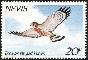 Colnect-1583-304-Broad-winged-Hawk-Buteo-platypterus.jpg