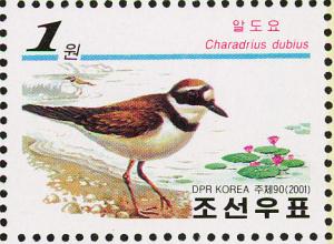 Colnect-1614-868-Little-Ringed-Plover-Charadrius-dubius.jpg