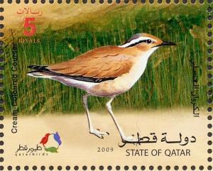 Colnect-1654-416-Cream-colored-Courser-Cursorius-cursor.jpg