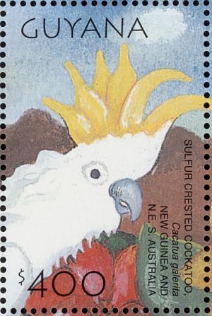 Colnect-1664-604-Sulphur-crested-Cockatoo-Cacatua-galerita.jpg