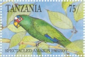 Colnect-1745-622-White-fronted-Amazon-Amazona-albifrons.jpg