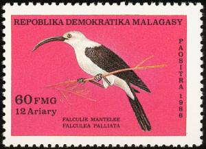 Colnect-2035-045-Sickle-billed-Vanga-Falculea-palliata.jpg