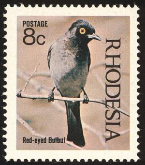 Colnect-2130-942-African-Red-eyed-Bulbul-Pycnonotus-nigricans.jpg