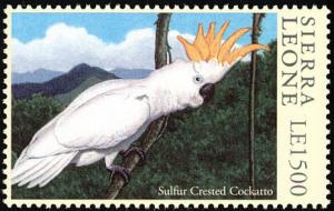 Colnect-2194-121-Sulphur-crested-Cockatoo-Cacatua-galerita.jpg